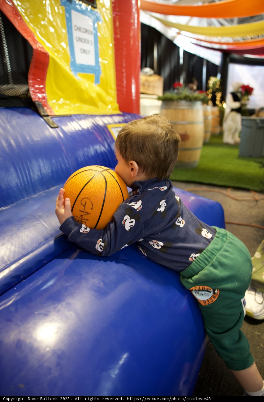 Game Time at Fort Mason: Wesley's Bouncing Basketball Adventure
