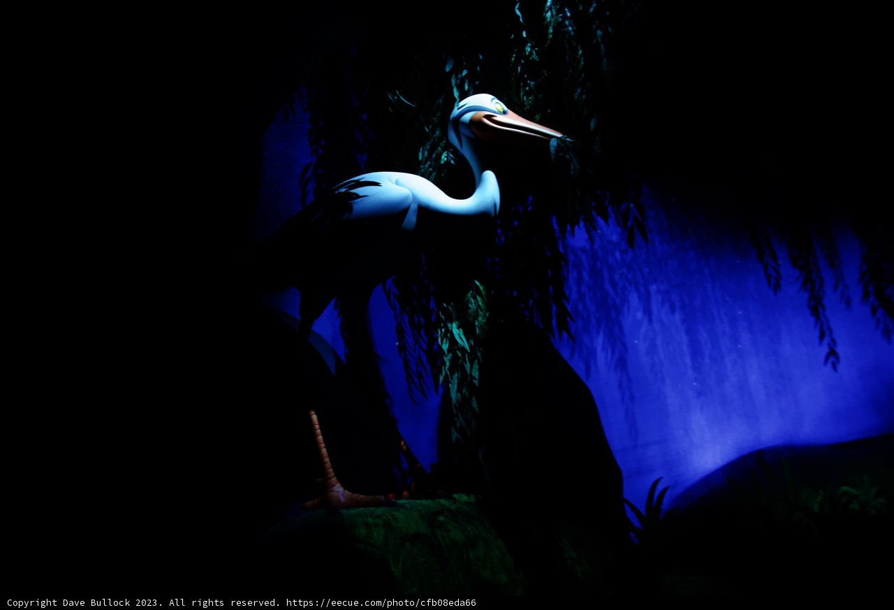Enchanting Nighttime Encounter