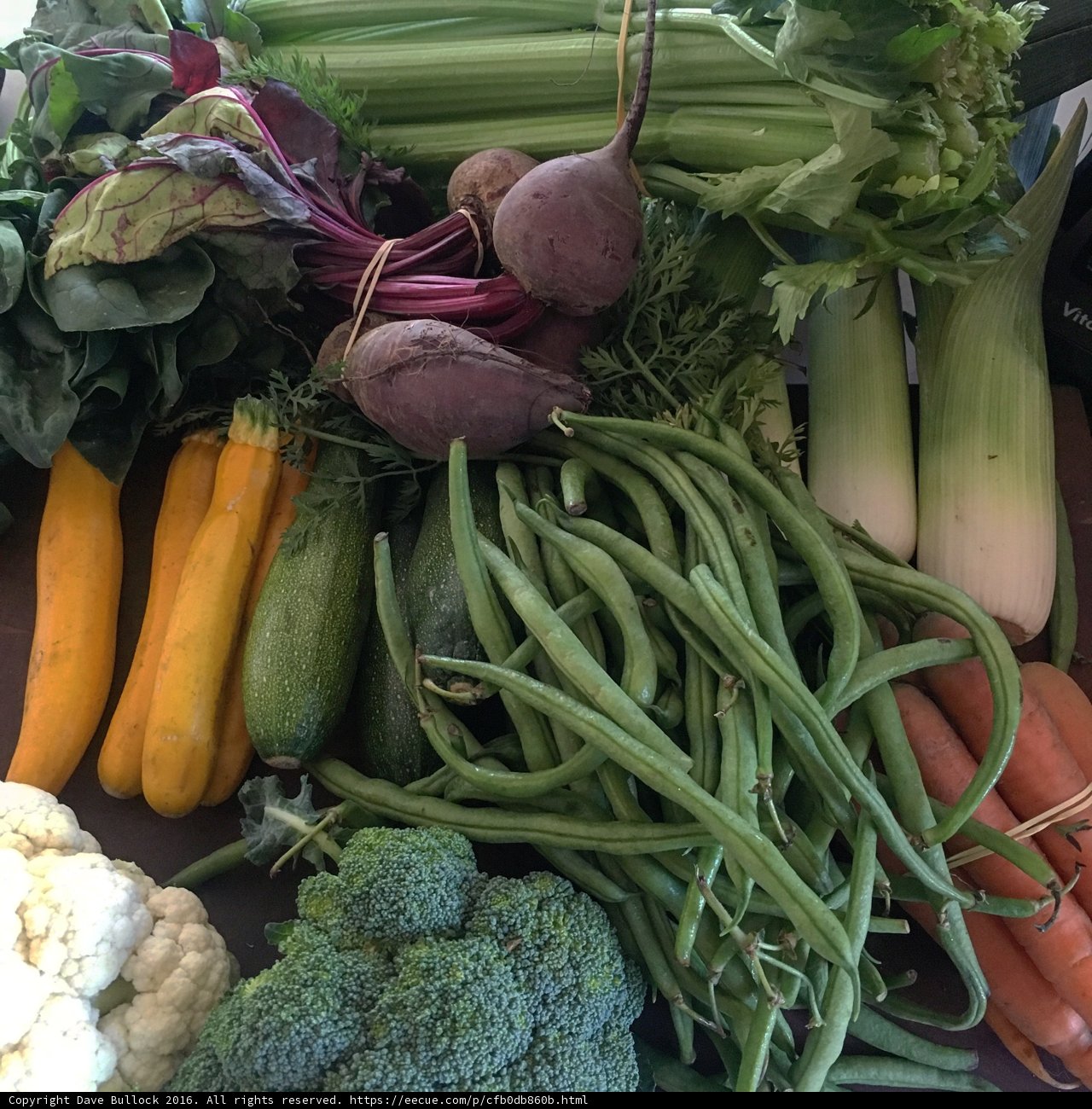 Fresh Harvest