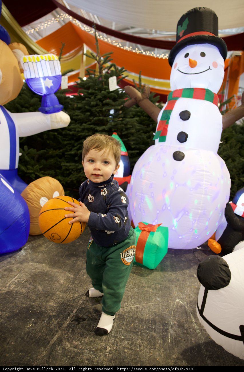 Winter Fun and Games at Fort Mason