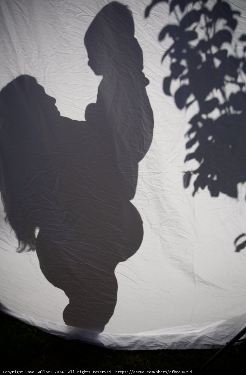 Silhouettes of New Beginnings