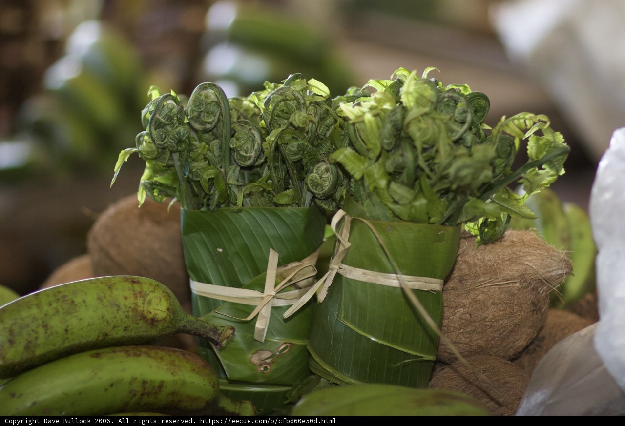 Banana and Plant Bouquet