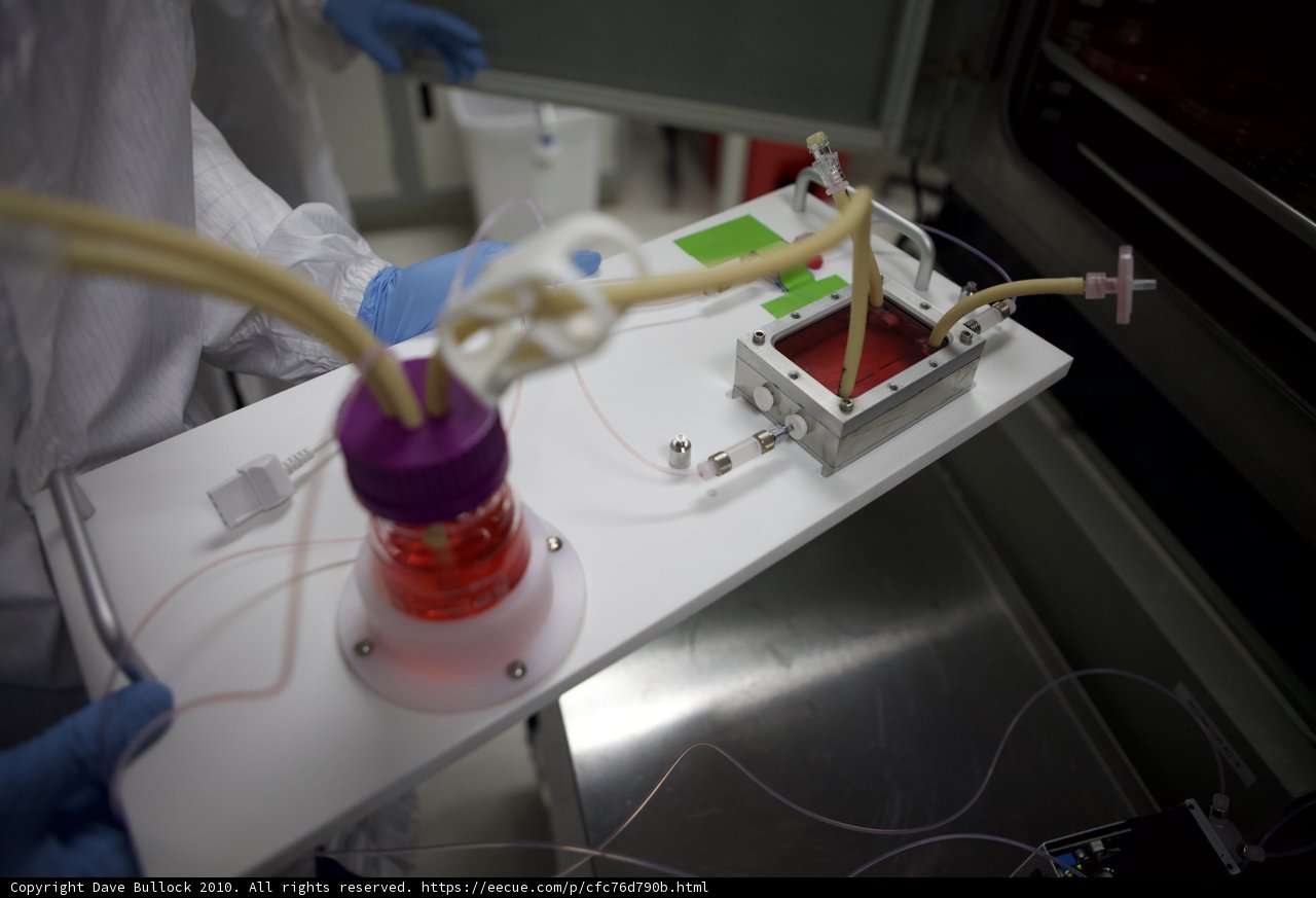 The Lab Technician and The Device