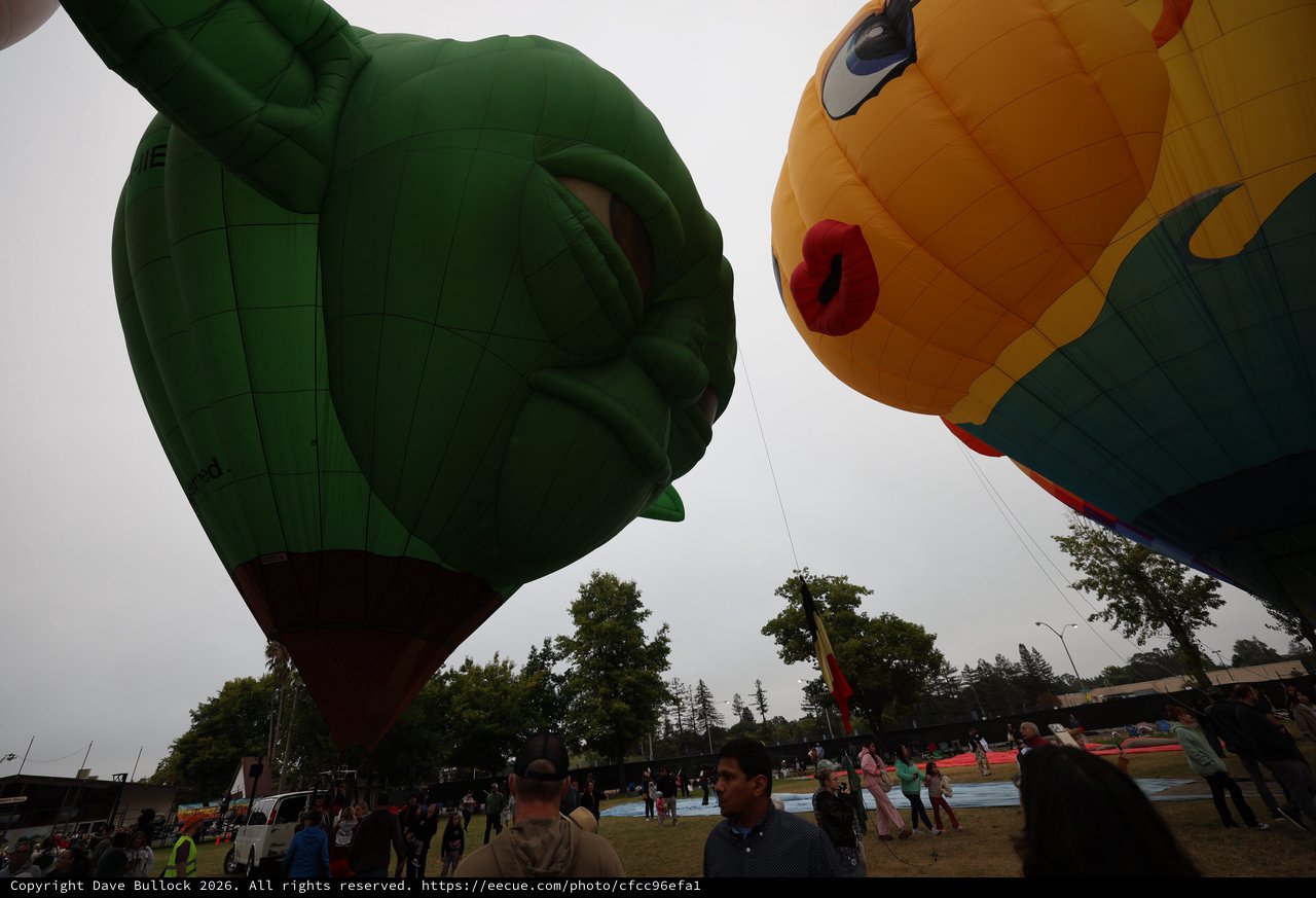Giant Character Balloons Face Off at Festival