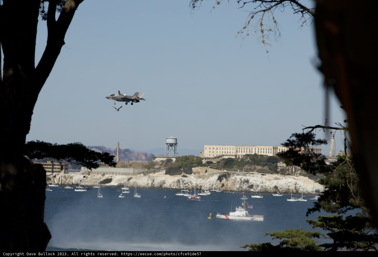Soaring Above the San Francisco Bay