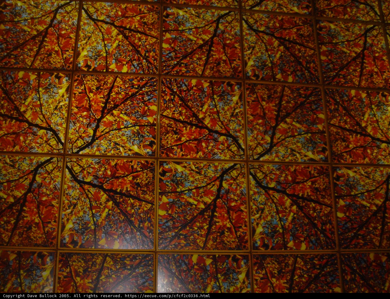 Artistic Tile Flooring
