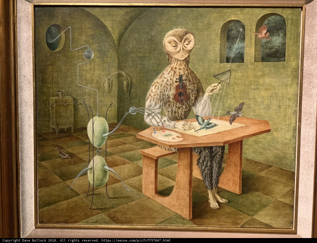 The Wise Owl