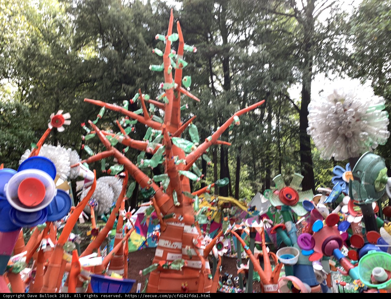 The Colorful Tree