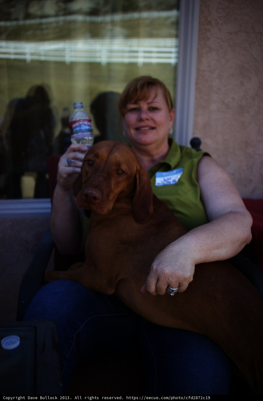 A Woman and Her Trusted Companion