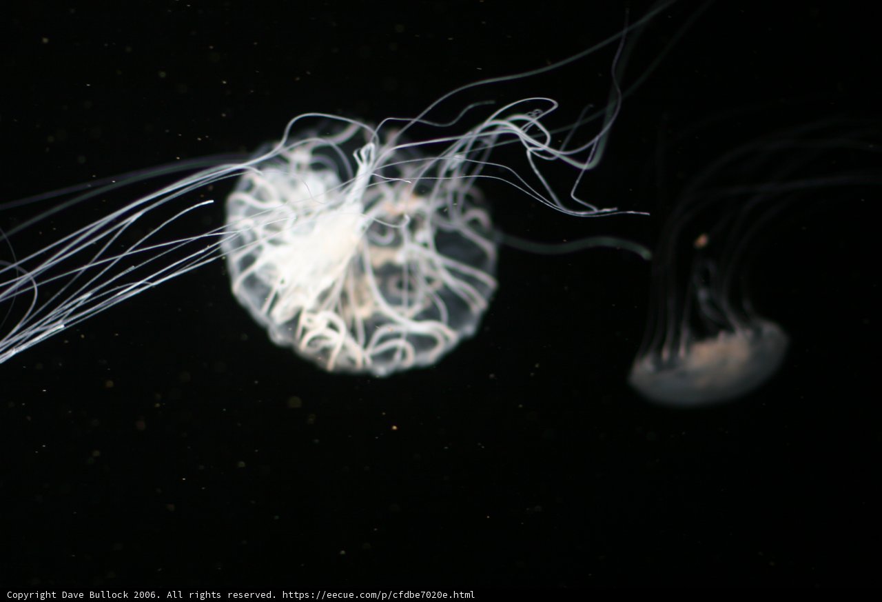 Glowing in the Depths