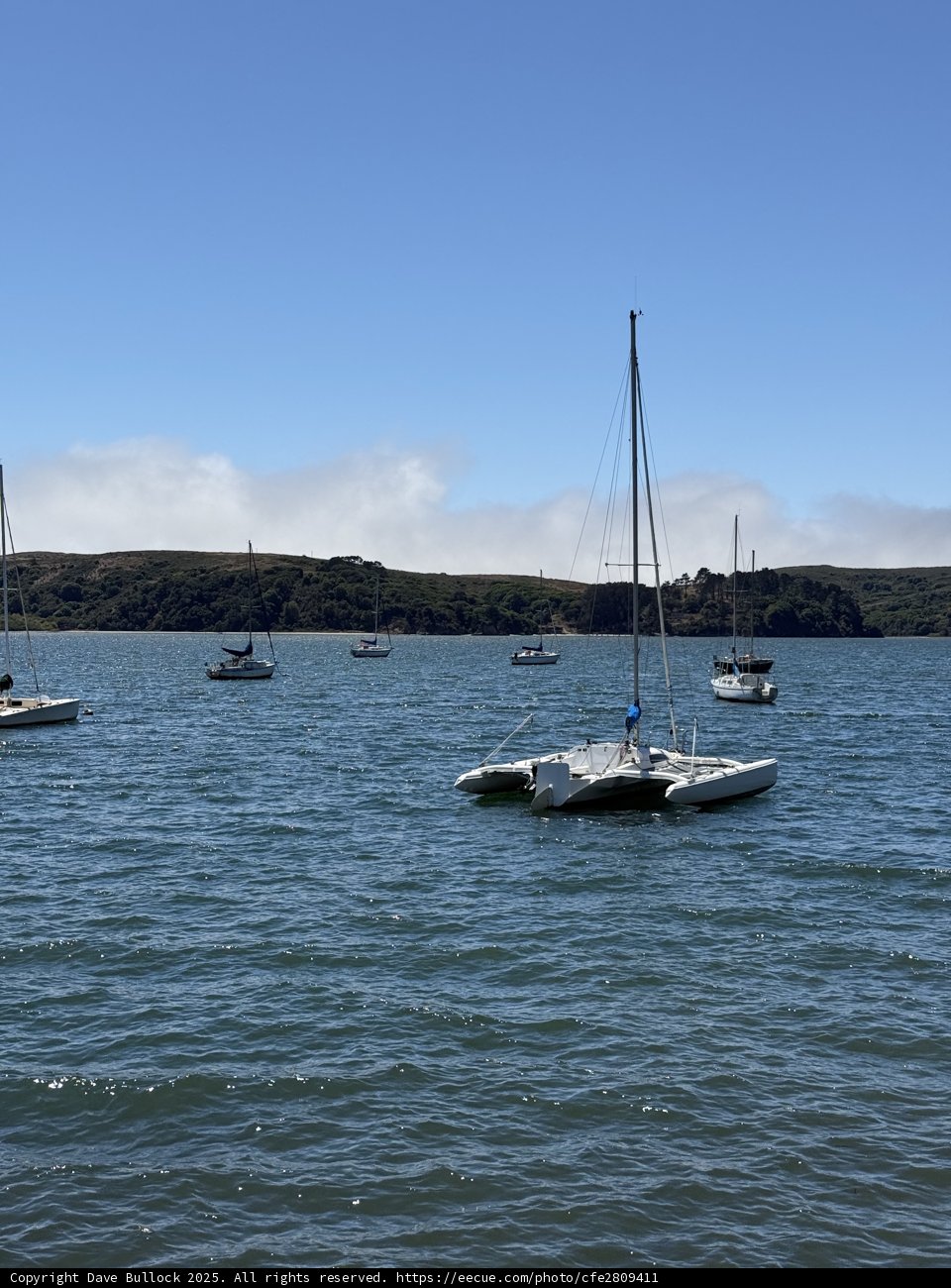 Tranquil Waters of Tomales Bay