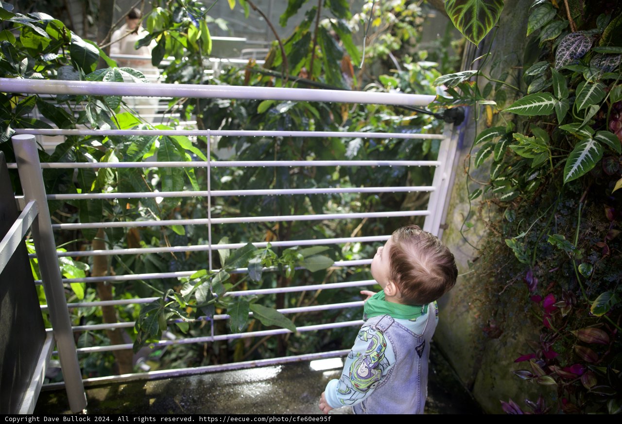 Young Explorer in the Greenhouse
