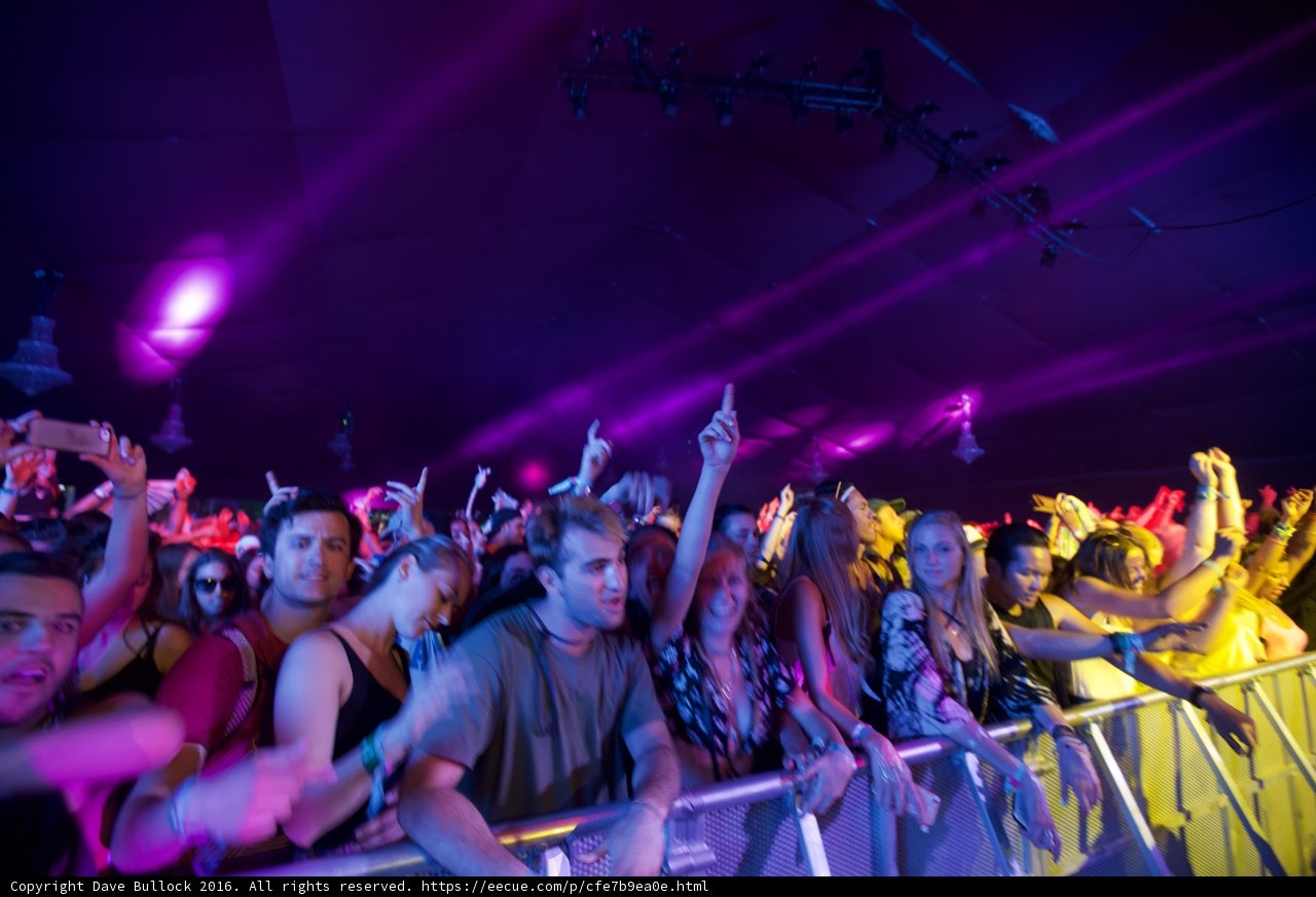 Euphoric Energy
