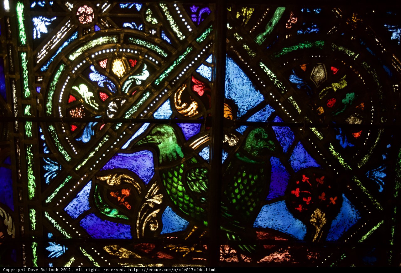 Bird Stained Glass Window