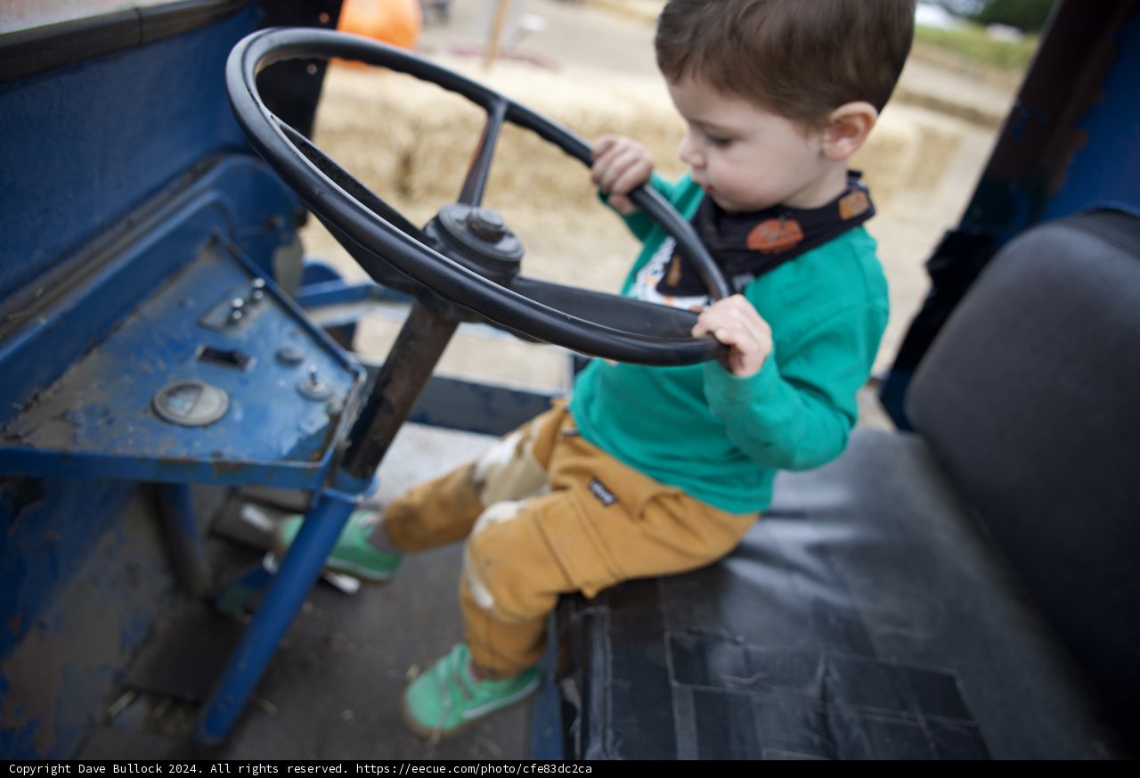 Little Drivers at Play