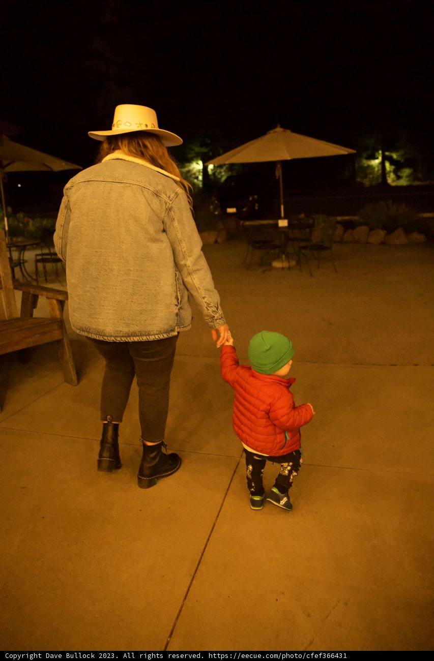 Starry Night Stroll