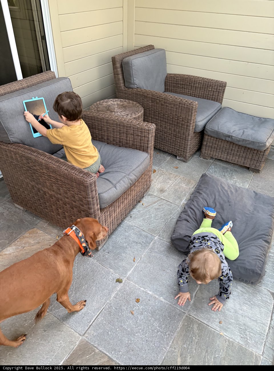 Patio Playtime in Carmel