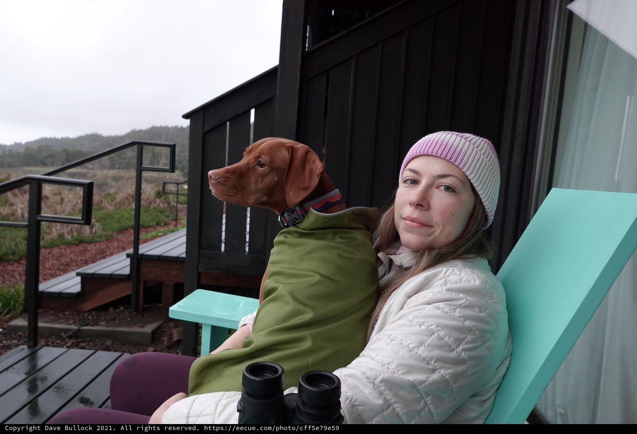 Woman and Dog Relaxing on Modern Cabin Deck