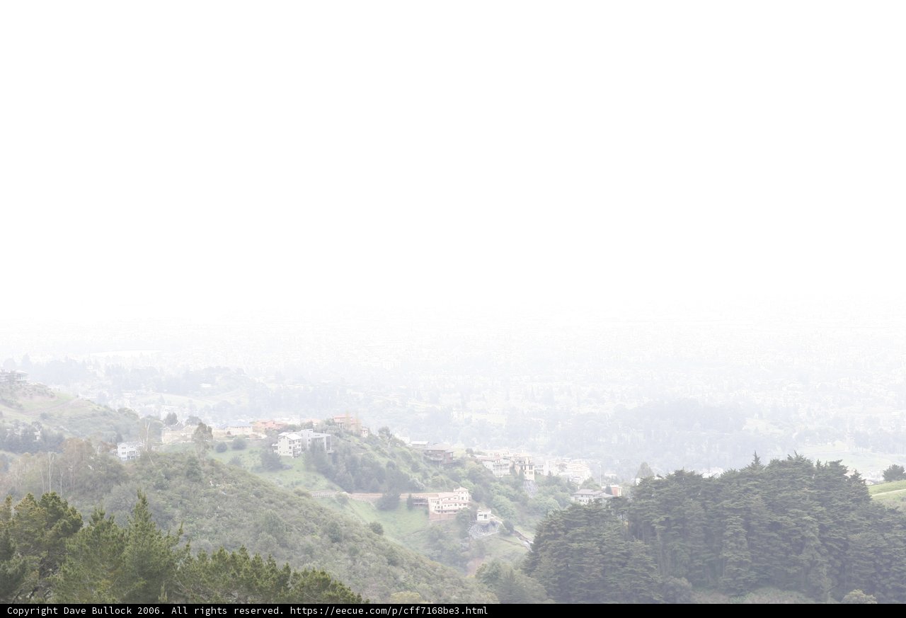 Solitude on a Misty Hill