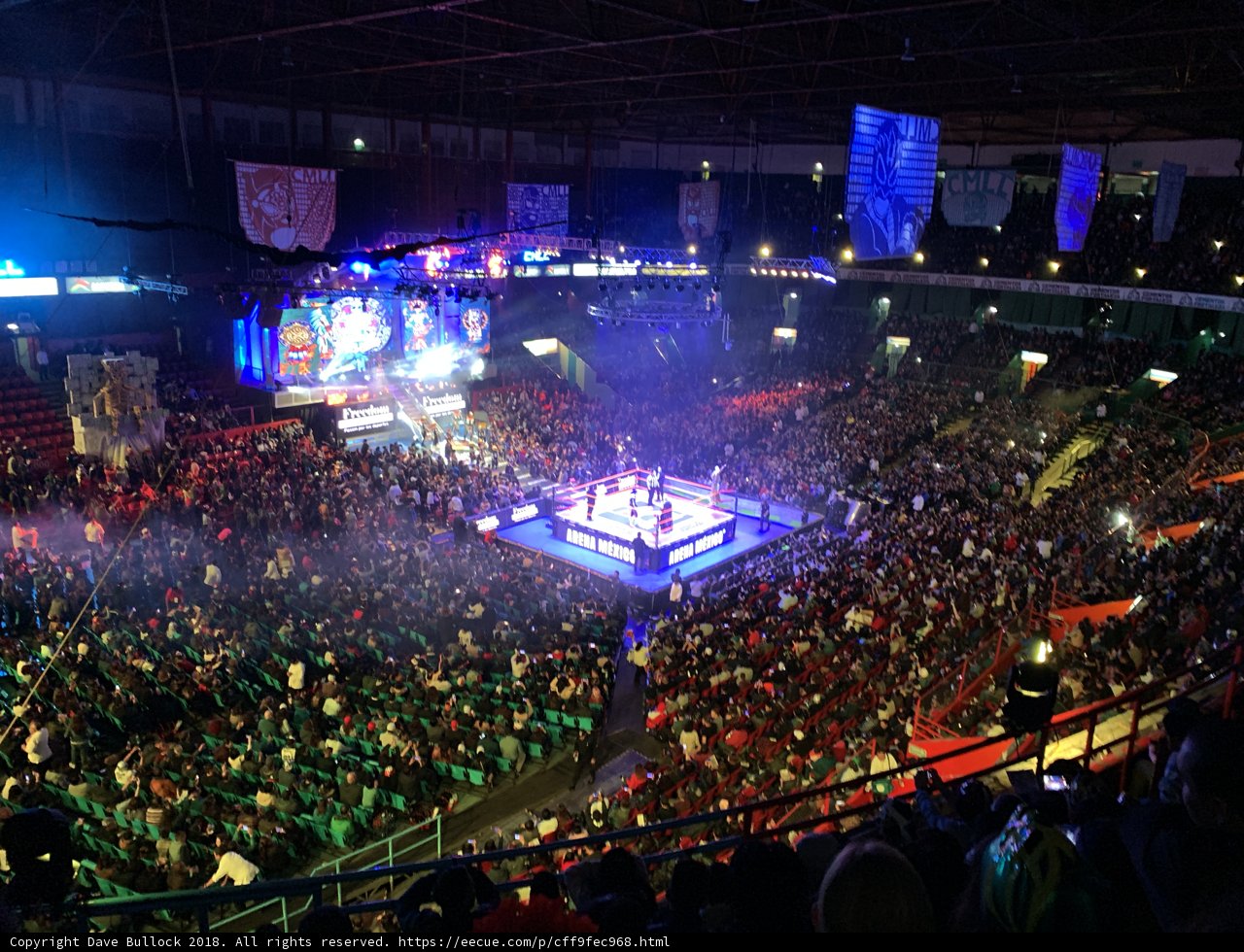 Massive Crowd at the Arena
