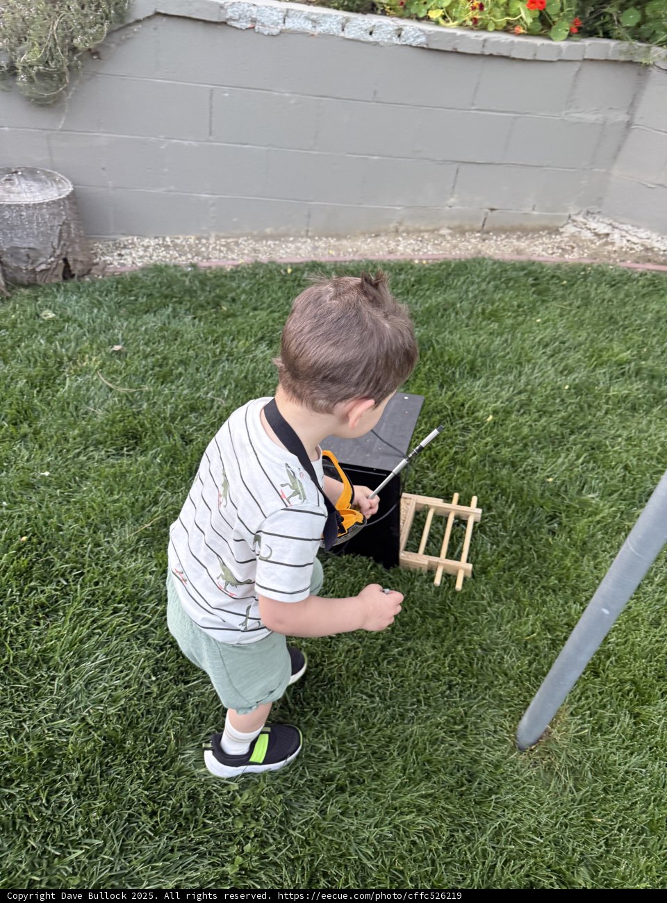 Backyard Explorer