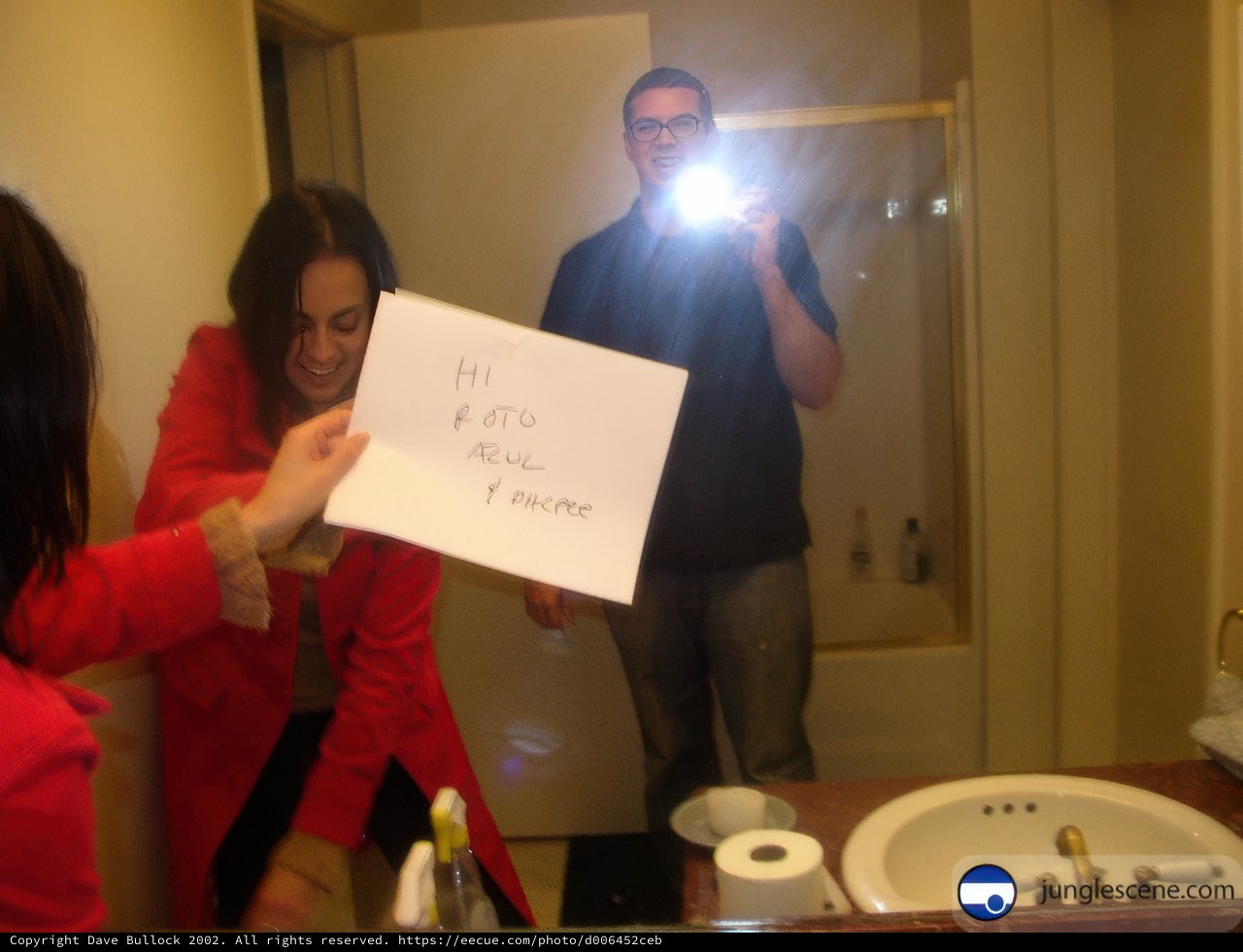 Reflections in the Mirror