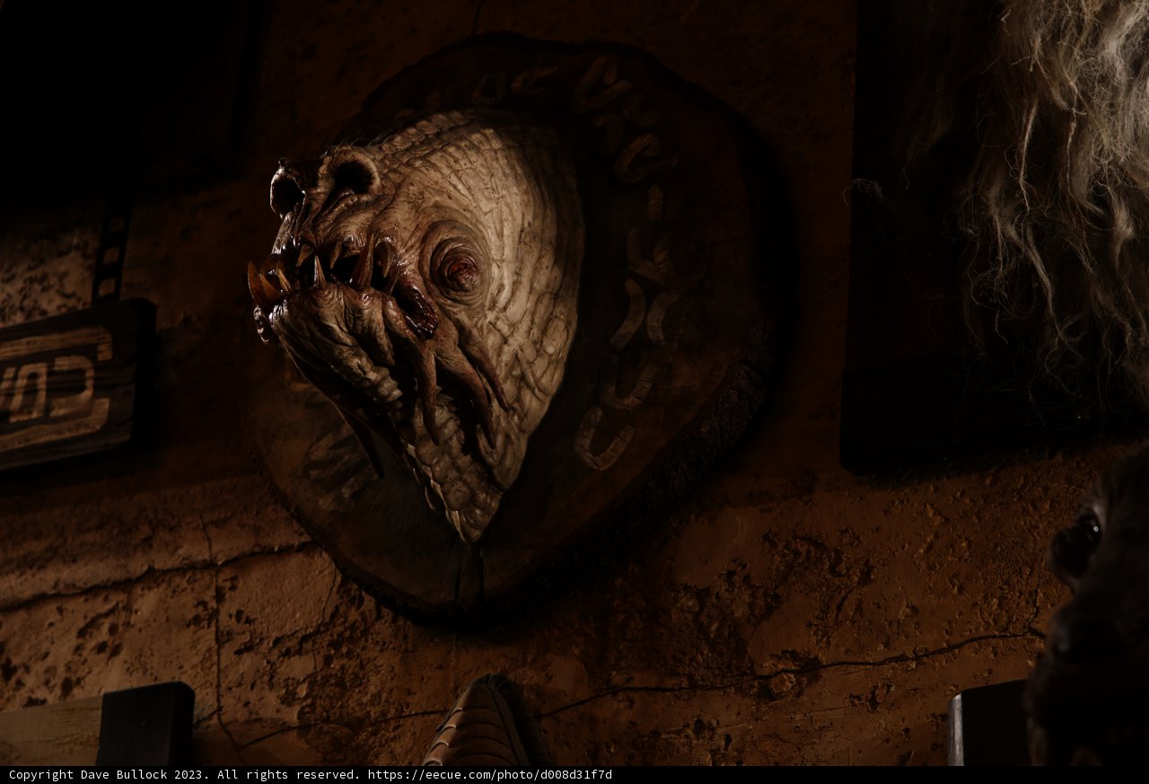 Masked Woman in a Wooden Crypt