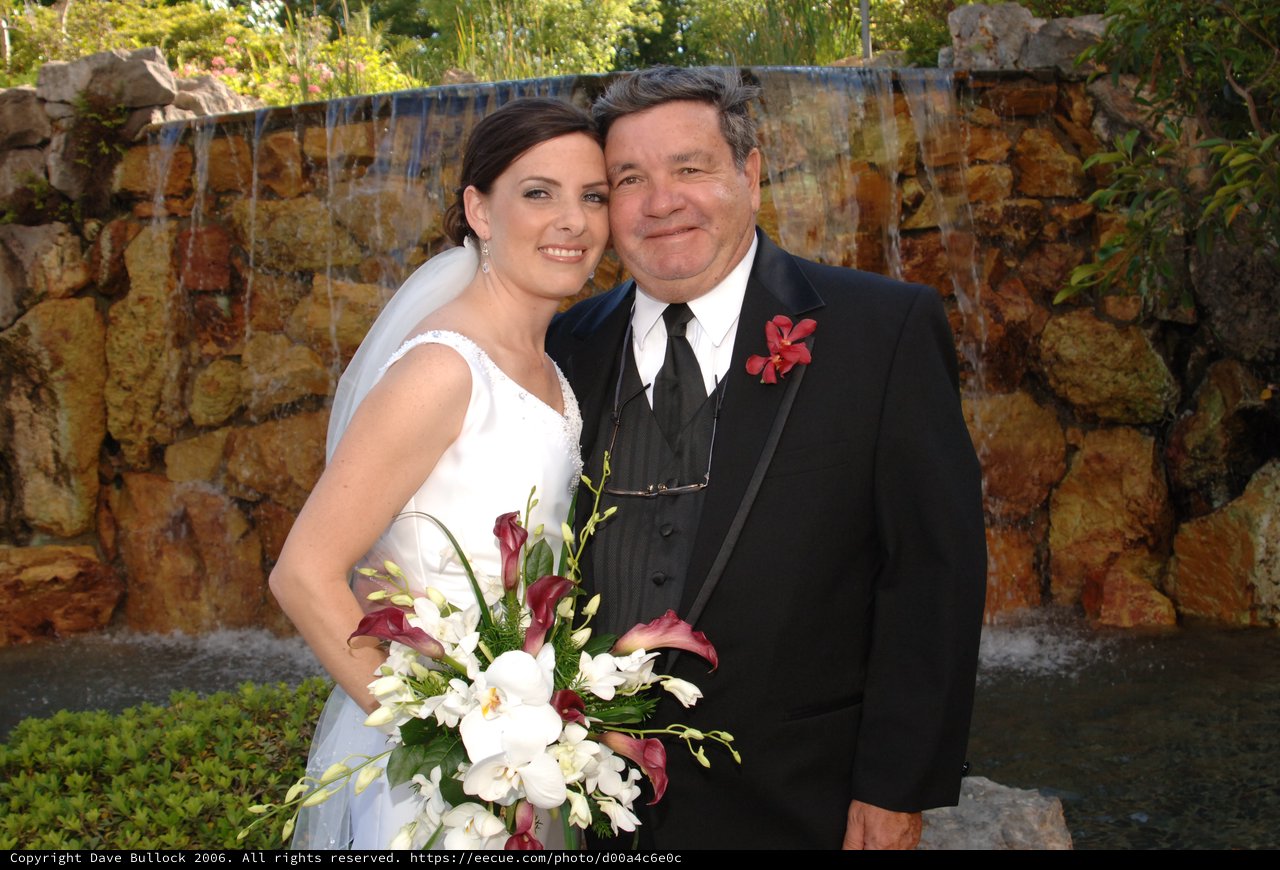 Bride and Groom Celebrate by Waterfall Feature