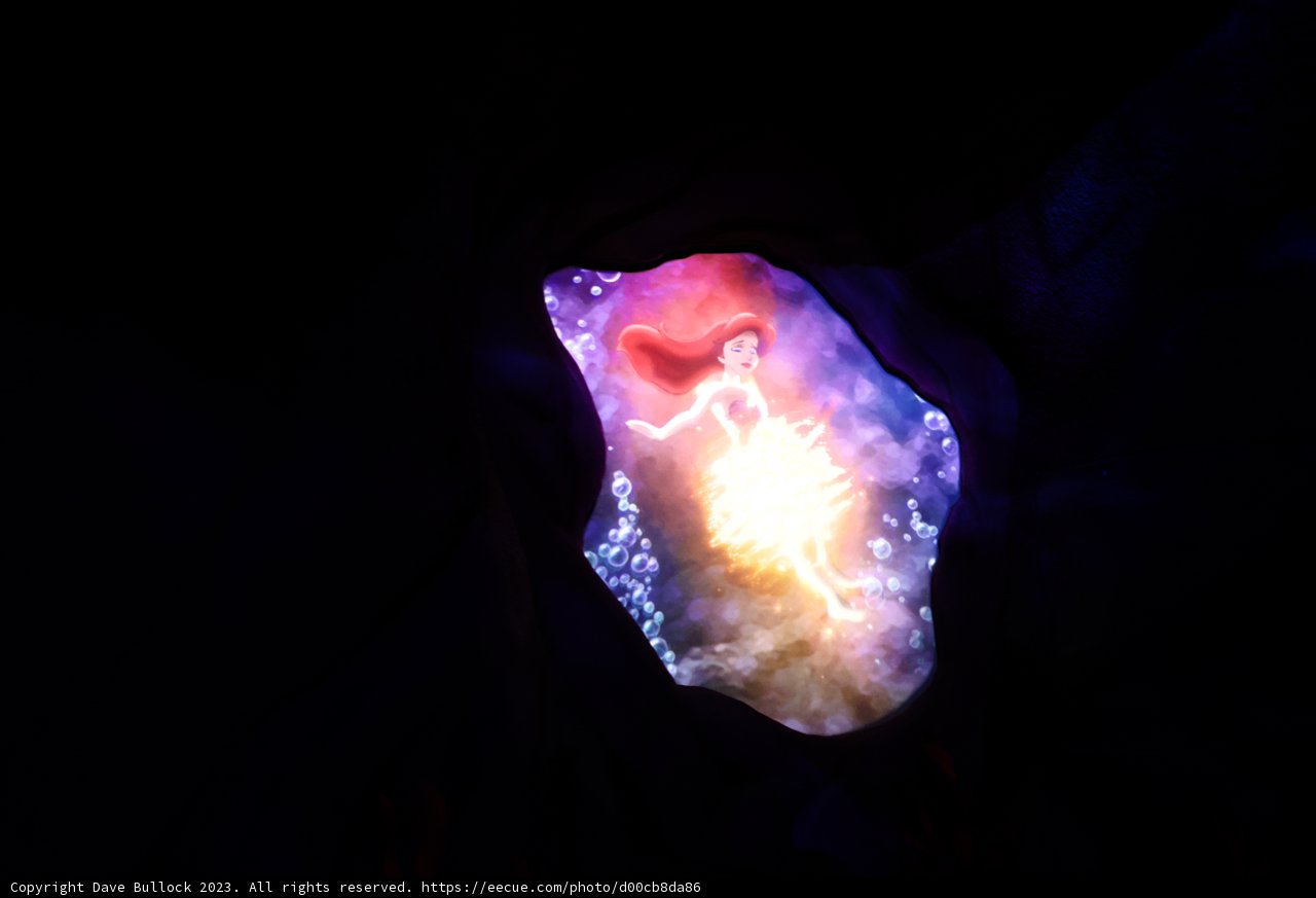 Enchanting Underwater Wonderland