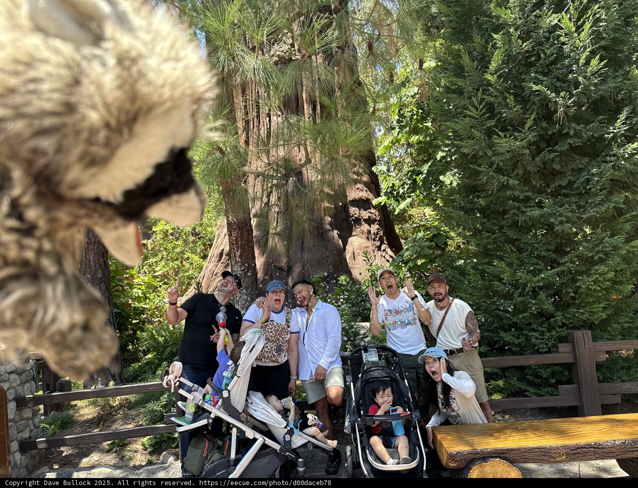 An Adventurous Encounter at Disney California Adventure