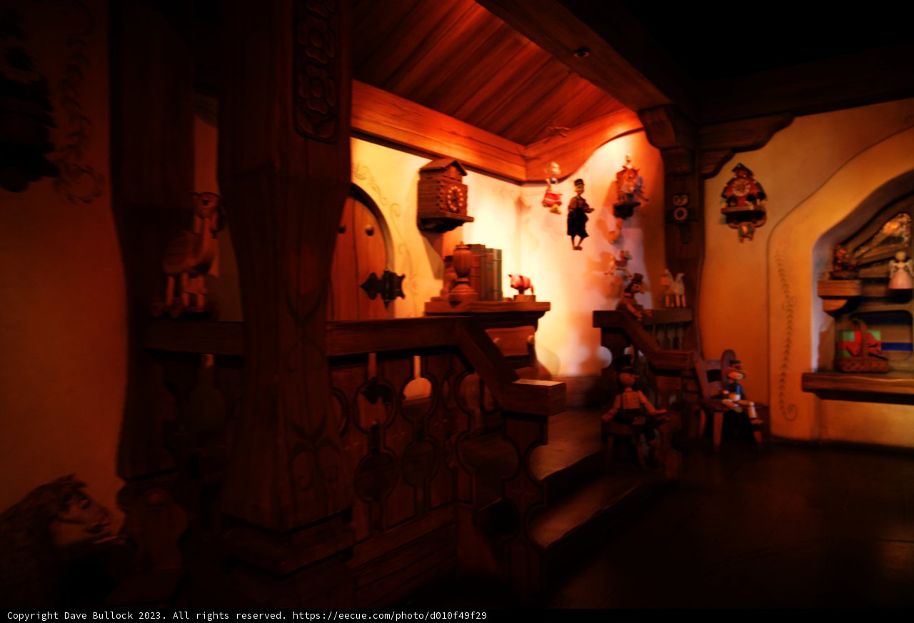 Timeless Moments at Disneyland