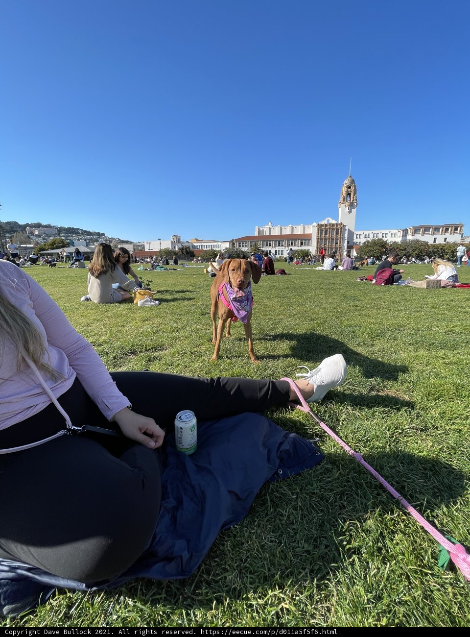 A Day in Mission Dolores Park