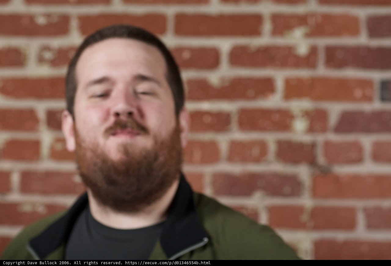The Bearded Man in Green