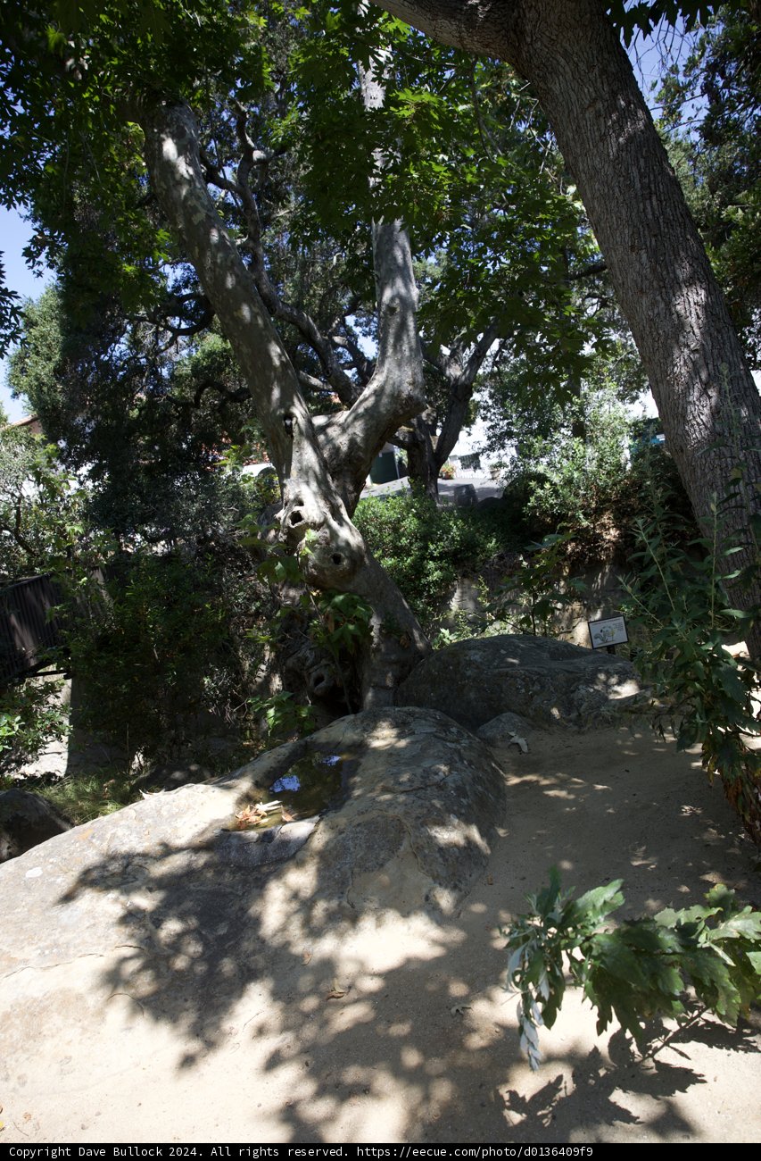 **Enchanted Garden Adventure**