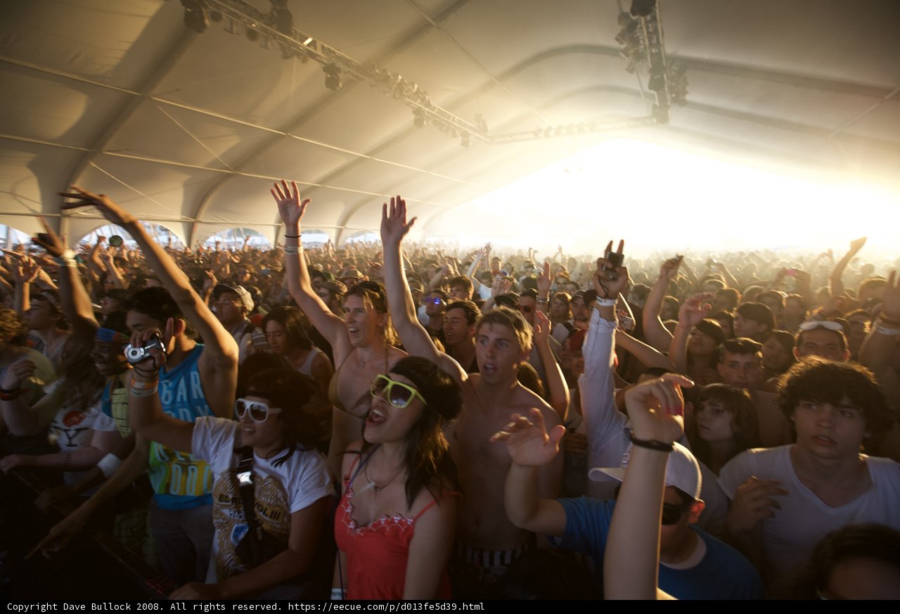 Coachella Crowd Goes Wild Caption: A sea of music fans throw their hands up in the air during the 2008 Coachella music festival, captured by Olga Alexandrova.