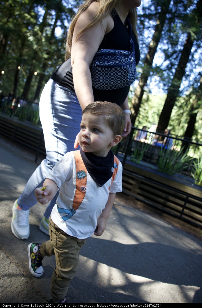 A Stroll in the Park - Tilden Steam Trains and Merry-go-round