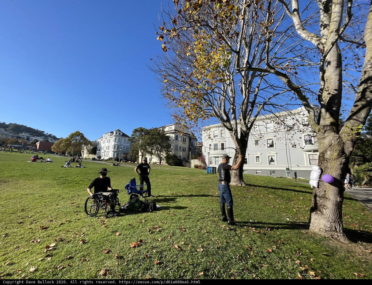 A Day Out in Duboce Park