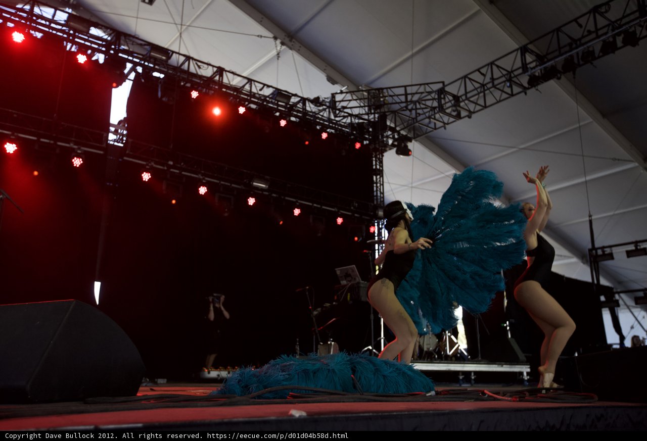 Feathered Dancers Take the Stage