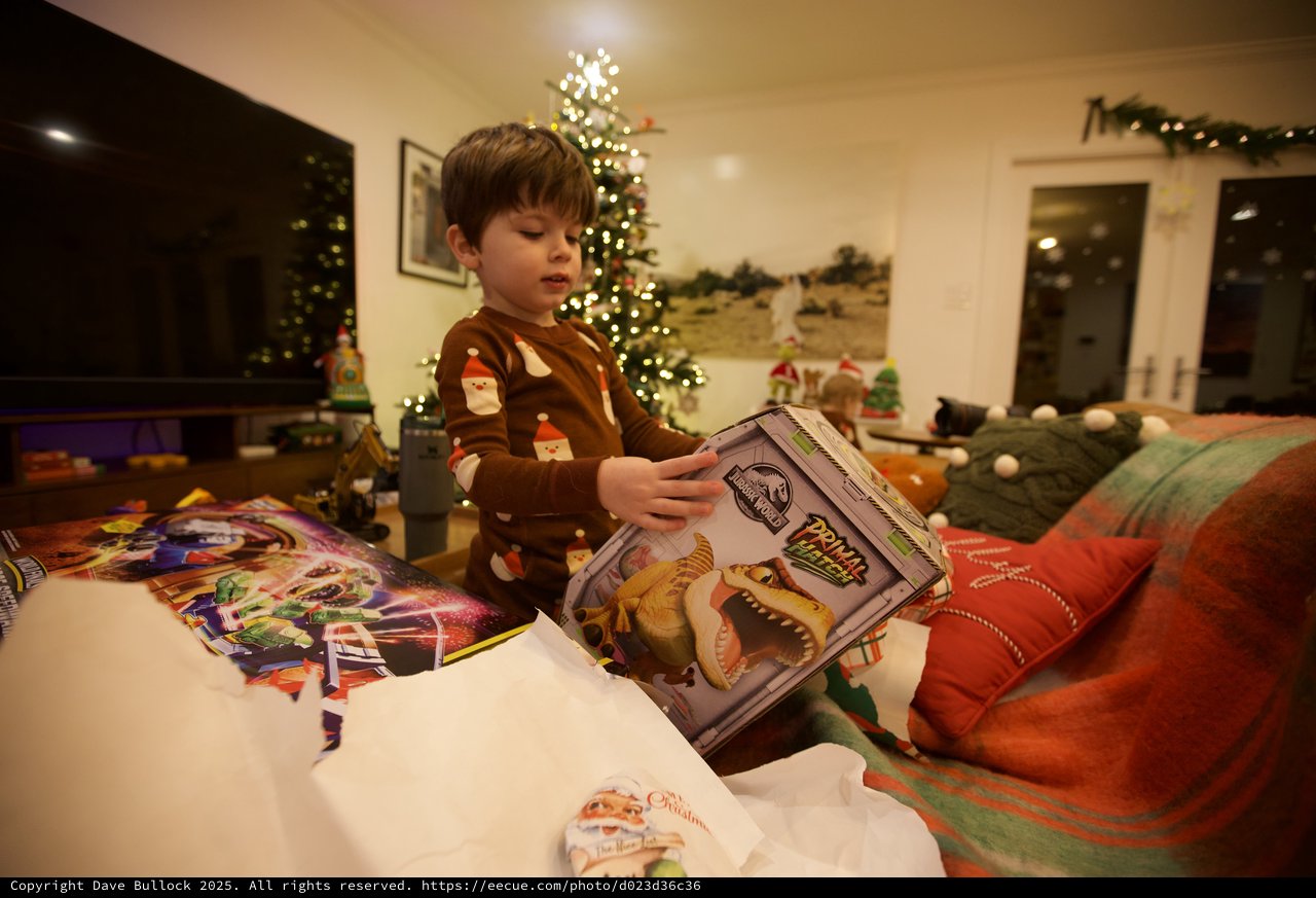 Child Opening Christmas Present with Dinosaur Book
