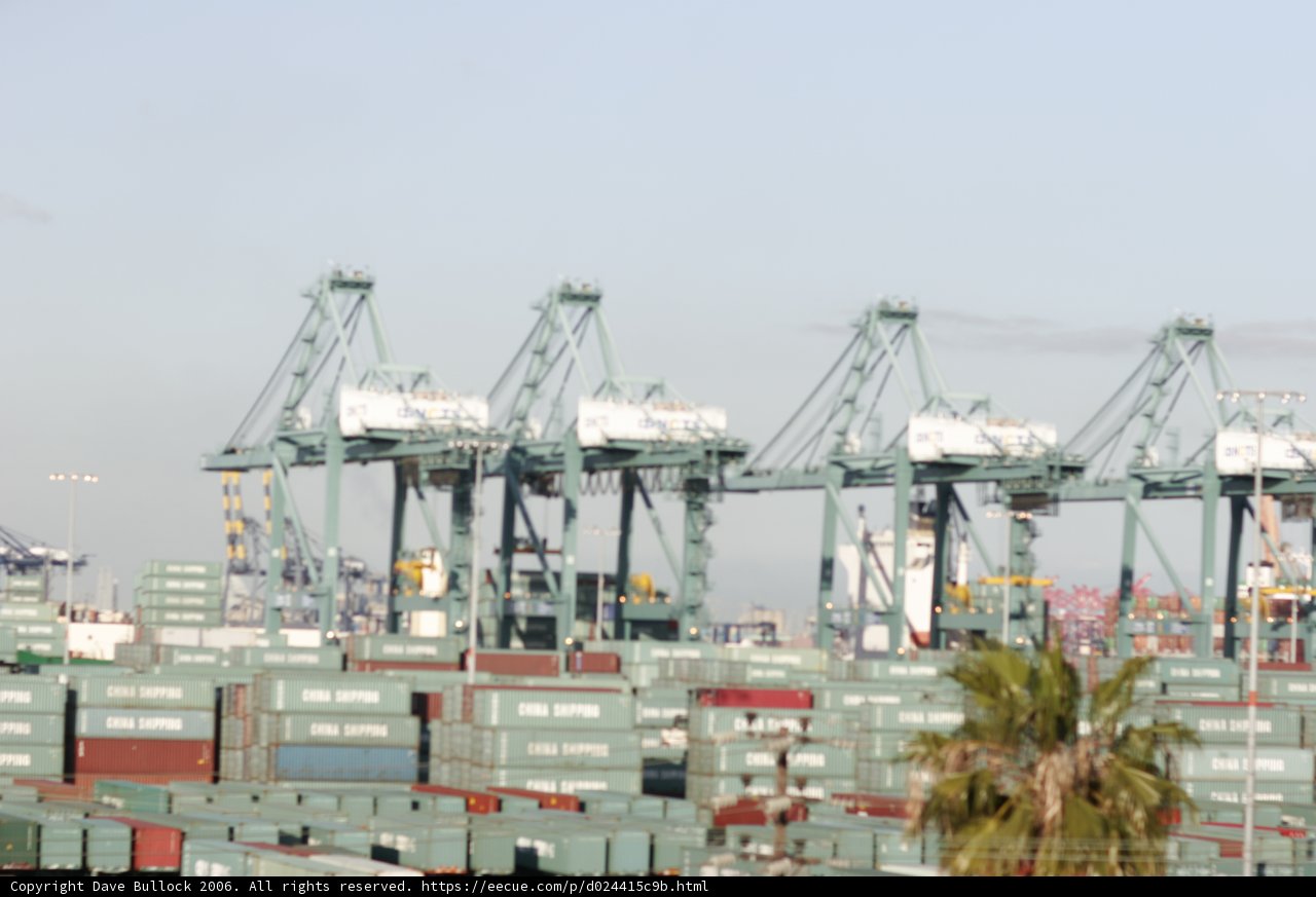 Red Crane at the Waterfront