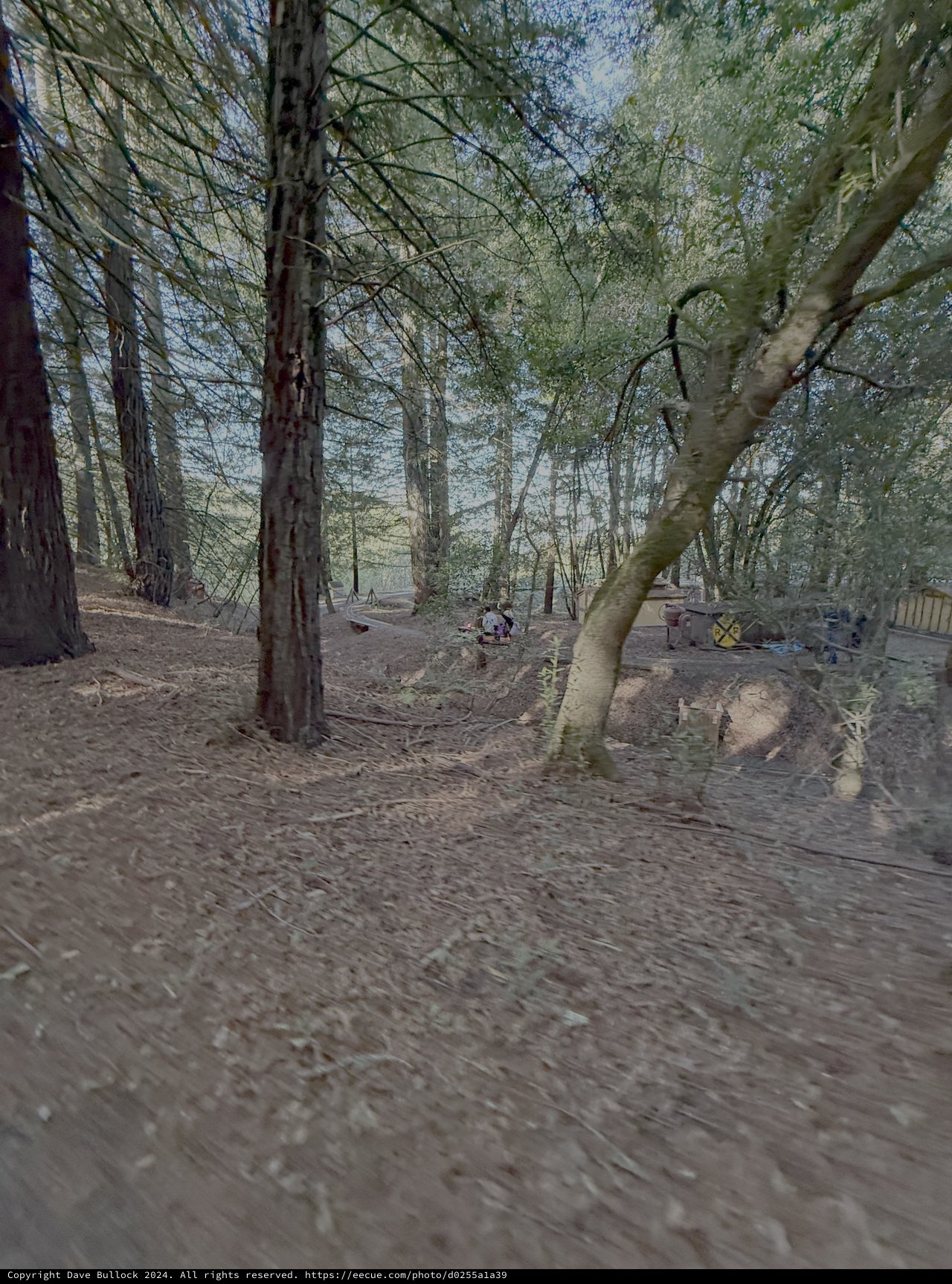 Wooded Riverside Area with Scattered Belongings