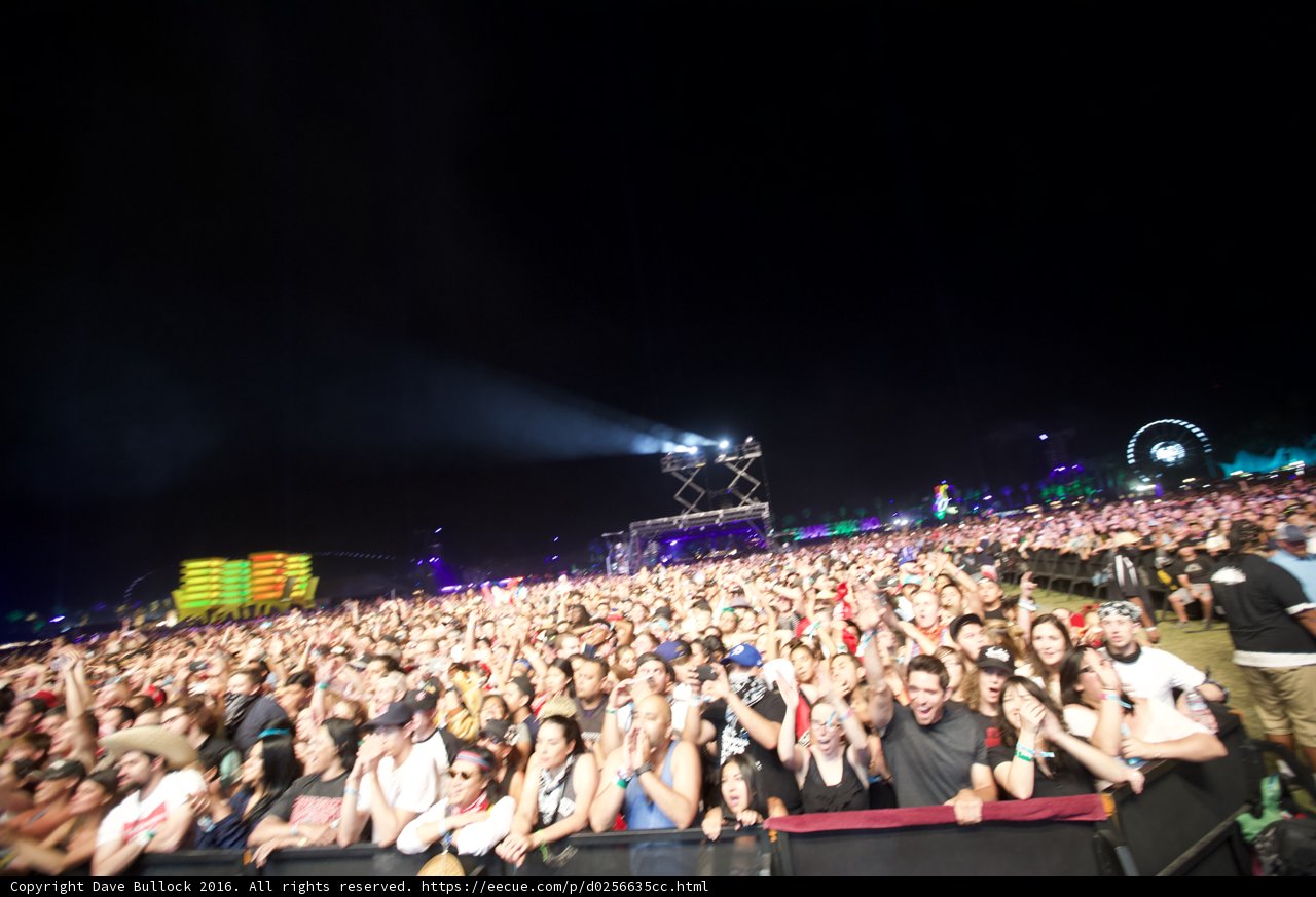 Rocking Under the Night Sky