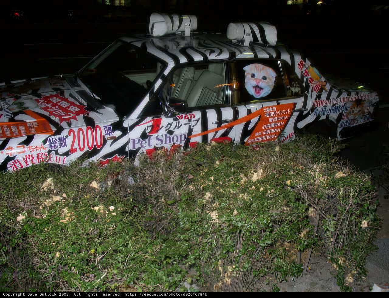 A Wild Ride in Osaka