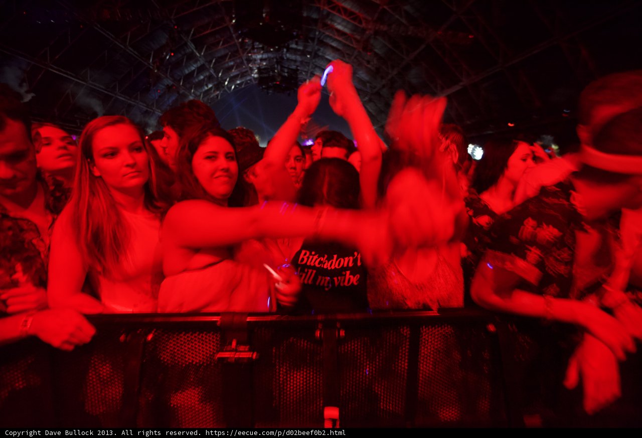 Coachella Crowd Goes Wild