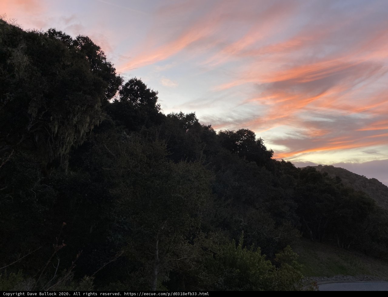 Sunset Splendor