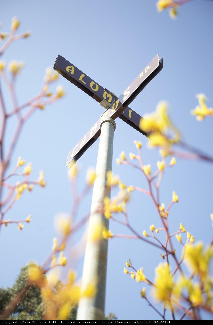 Crossroads of Spring