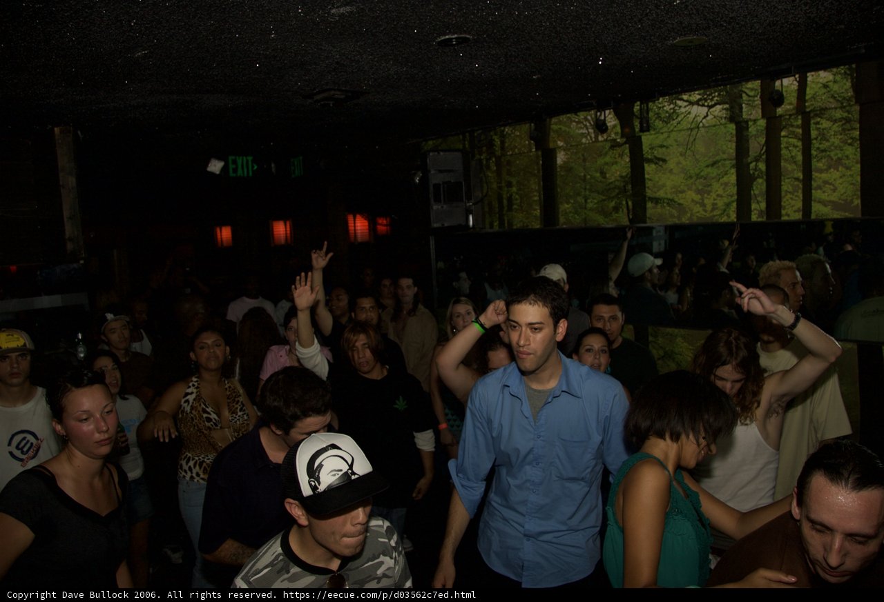 Nightlife Extravaganza in the Woods