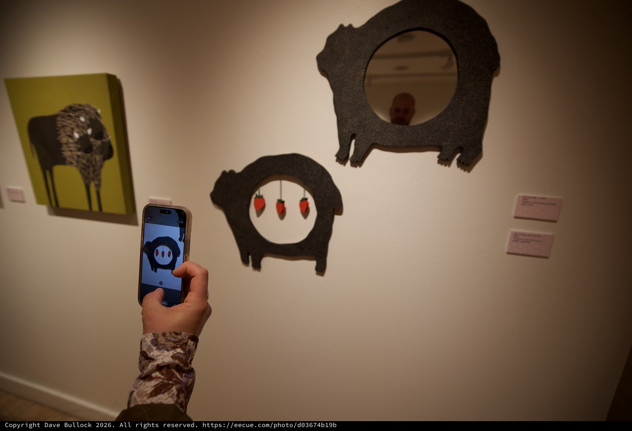 Visitor Photographing Pig Art Installation in Gallery