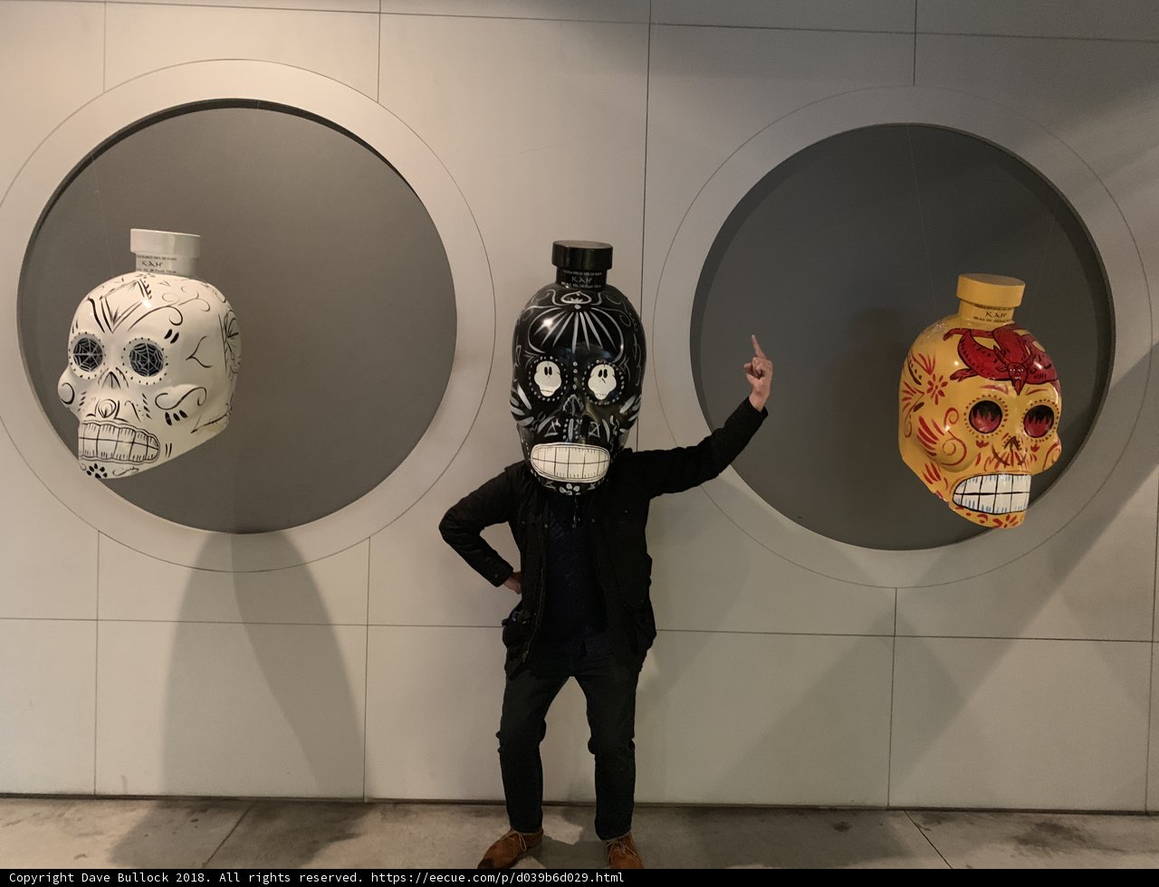 The Man and the Skulls