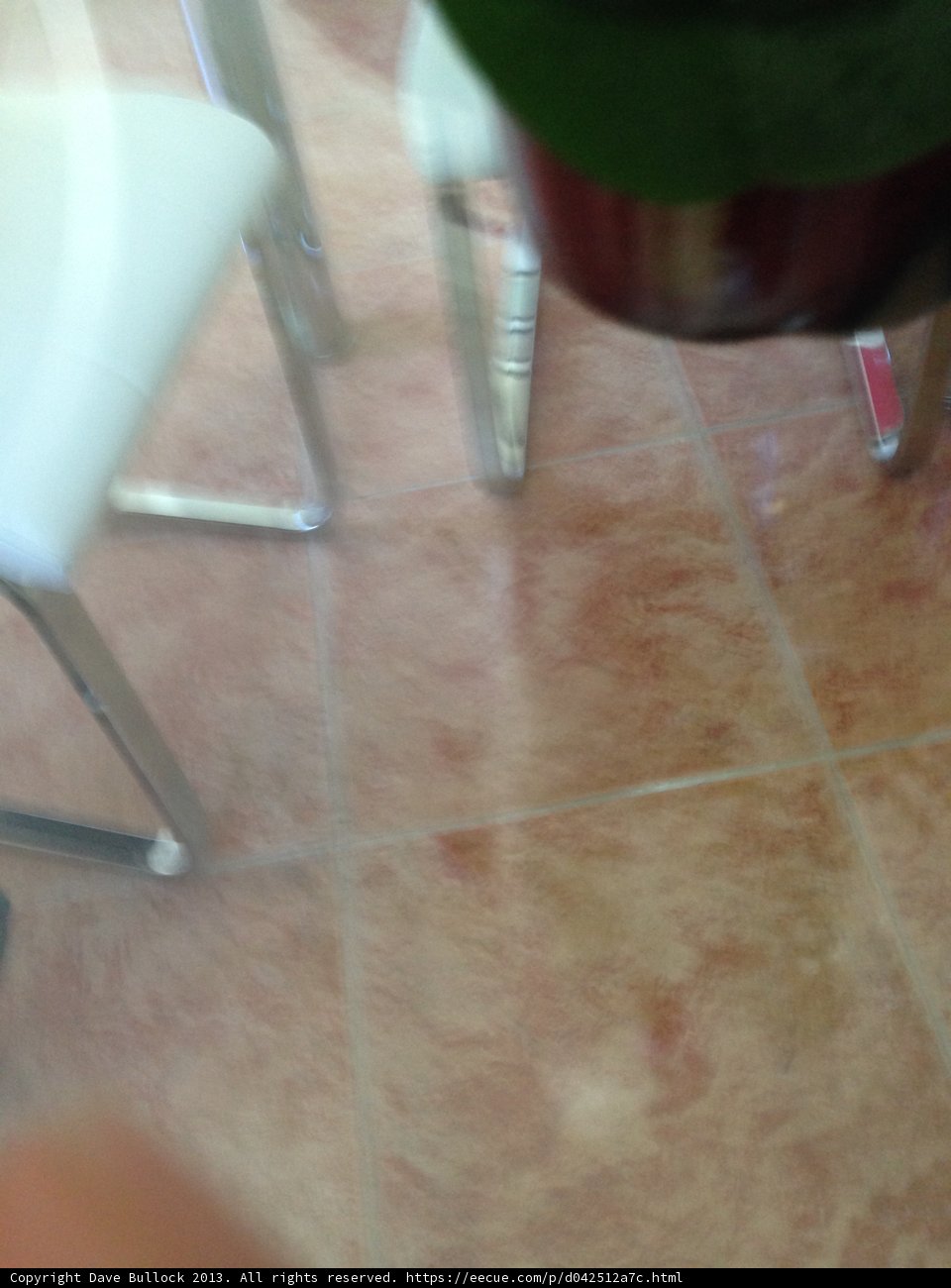 A Relaxing Moment on Tiled Flooring